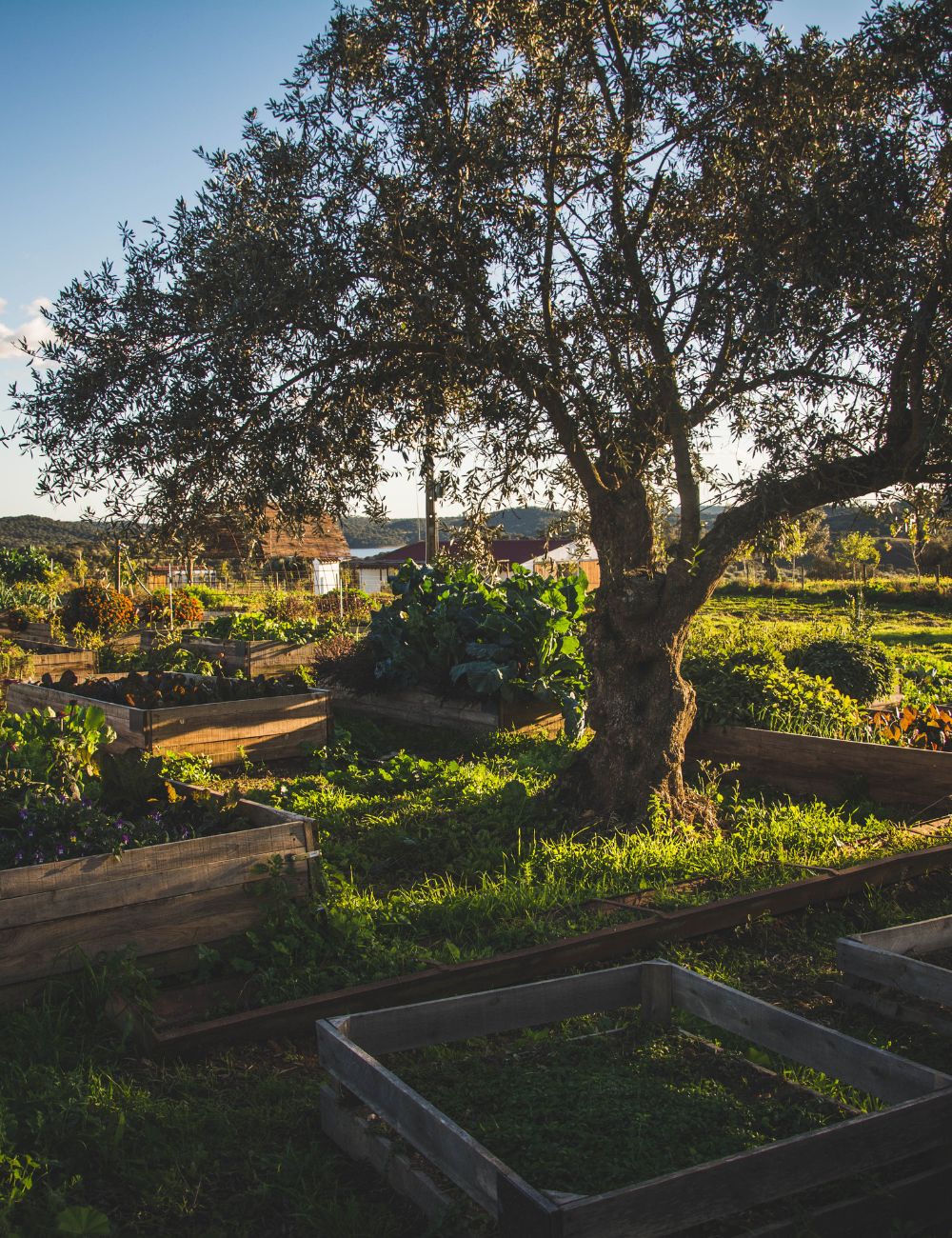 Pão de  Cereais com Nozes